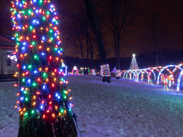 istock Multicolored LED Christmas string lights wrap the trunk of a tree with arched walkways in the background at a holiday lights festival display. 1176159031