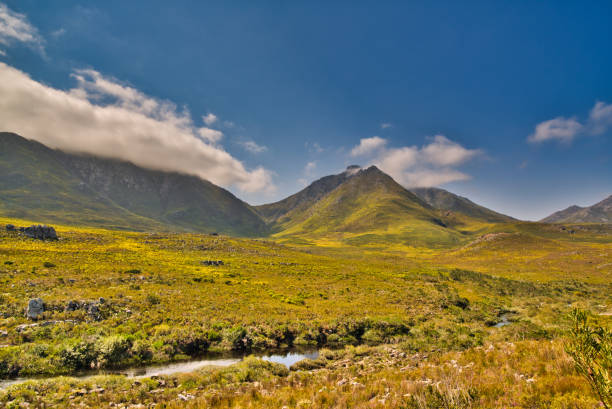istock Unspoiled nature valley and mountains 1176161808