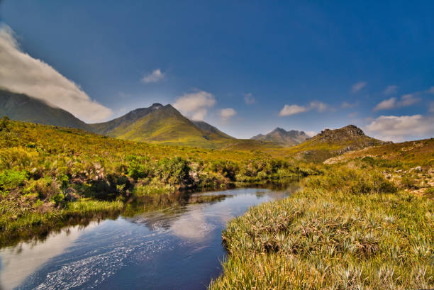 istock River runs in unspoiled nature and mountains 1176162044