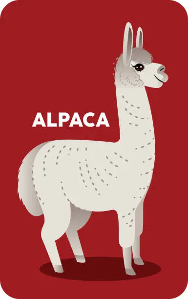 Vector illustration of Alpaca