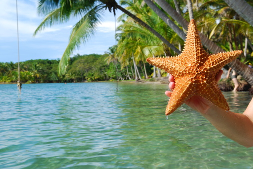A young man hold a starfish on a tropical island in the Caribbean
