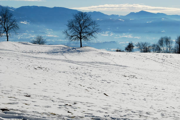 istock the beautiful Belluno valley with snow and fog 1176171654