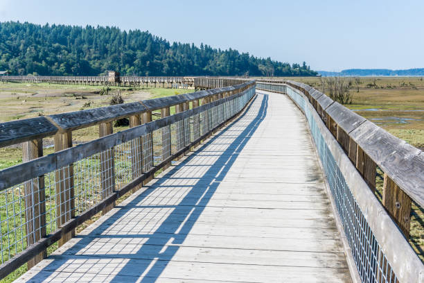 istock Nisqually Wetlands Mud Flats And Boardwalk 7 1176182416
