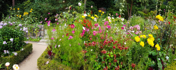 istock Autumn bed in a park banner 1176184634