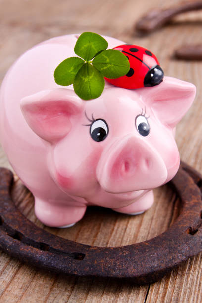 istock Happiness concept with horseshoe, pig and ladybird 1176184681