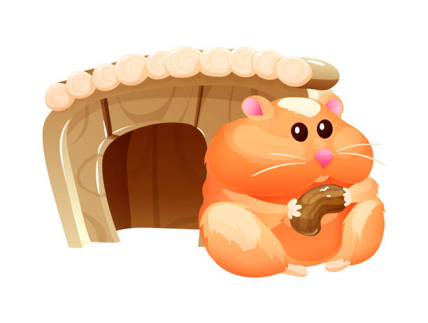 Drawing Of The Fat Hamsters Illustrations, Royalty-Free Vector Graphics &  Clip Art - iStock