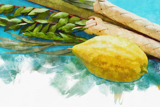 watercolor style and abstract image of Jewish festival of Sukkot. Traditional symbols (The four species): Etrog, lulav, hadas, arava religion image of Jewish festival of Sukkot. Traditional symbols (The four species): Etrog, lulav, hadas, arava judaism photos stock pictures, royalty-free photos & images