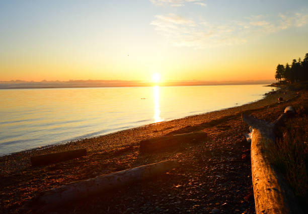 istock Sunrise on the Water Campbell River British Columbia Canada 1176189279