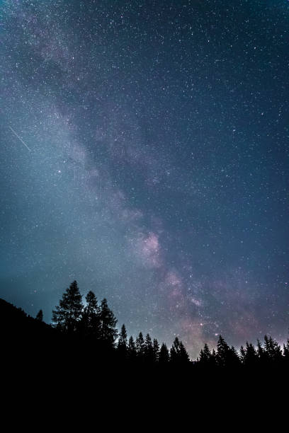 istock Clearly milky way galaxy at dark night, silhouette of trees 1176197699
