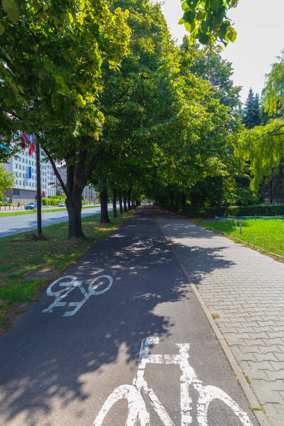одна из многих тенистых велосипедных дорожек в варшаве - single line urban scene outdoors vertical стоковые фото и изображения