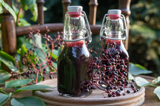 Bottles of black elder syrup with fresh elderberries Bottles of black elder syrup with fresh elderberries, outdoors sambucus nigra stock pictures, royalty-free photos & images