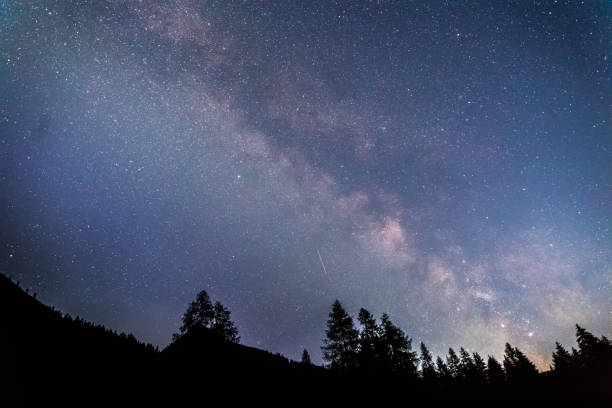 istock Clearly milky way galaxy at dark night, silhouette of trees 1176199478