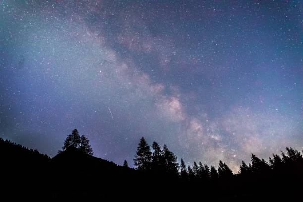 istock Clearly milky way galaxy at dark night, silhouette of trees 1176199632