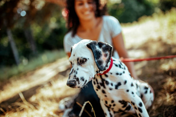 istock Young woman with dogs 1176200166