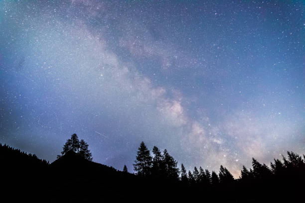 istock Clearly milky way galaxy at dark night, silhouette of trees 1176201317