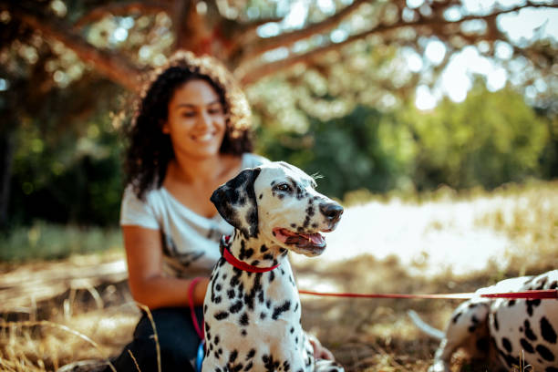 istock Young woman with dogs 1176201340
