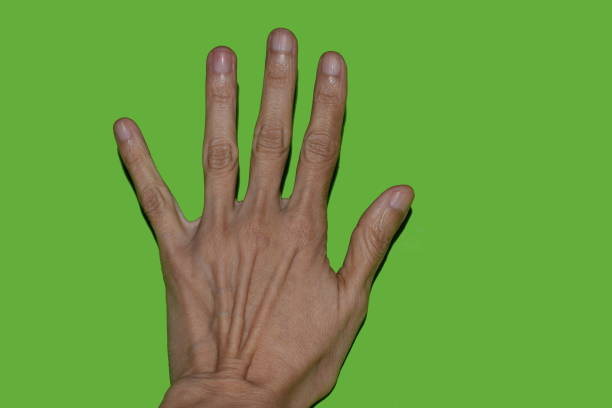 istock Hand sign number five fingers. Left hand. 1176203811