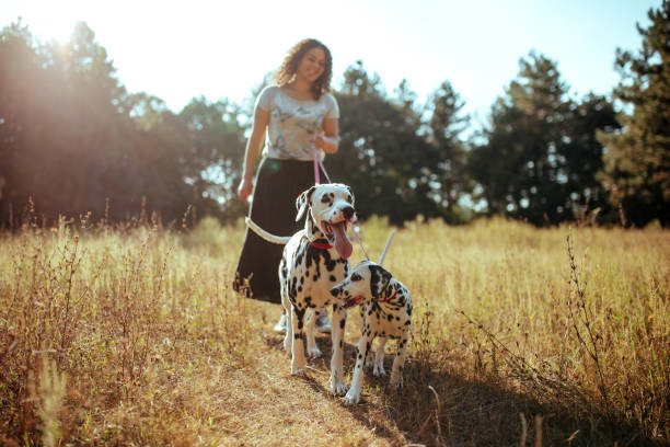 istock Young woman with dogs 1176206712