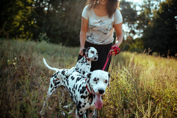 istock Young woman with dogs 1176206789