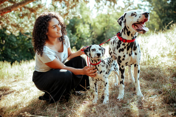 istock Young woman with dogs 1176206981