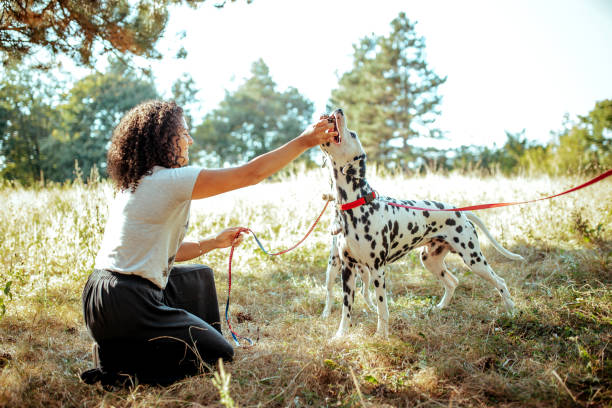 istock Young woman with dogs 1176208360