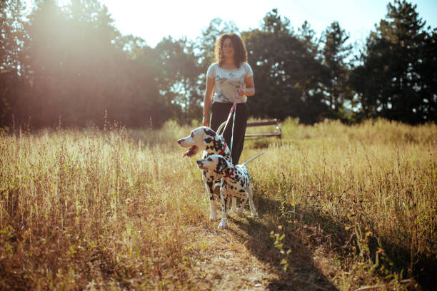 istock Young woman with dogs 1176208661