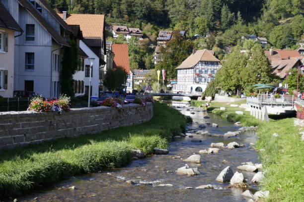 istock Schiltach town in Bavaria 1176209712