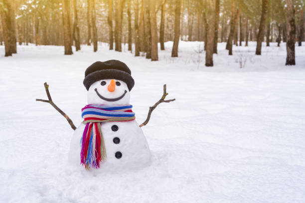 istock Snowman in the park 1176209983