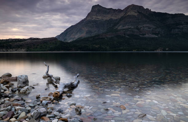 istock Waterton Lakes National Park, Alberta, Canada 1176210349