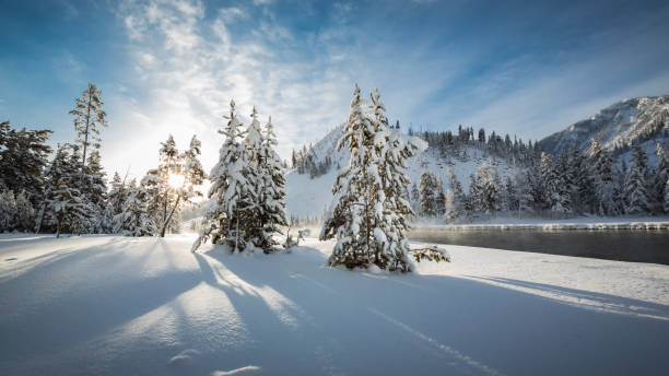 Sunny morning in Yellowstone National park in Winter Sunny morning in Yellowstone National park in Winter snow river stock pictures, royalty-free photos & images