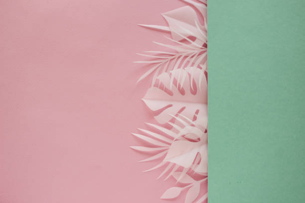 istock Tropical palm leaf on pink background. Flat lay, top view 1176212359