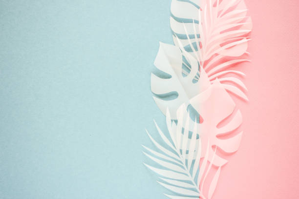 istock Tropical palm leaf on blue background. Flat lay, top view 1176212381