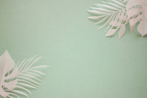 istock Tropical palm leaf on blue background. Flat lay, top view 1176212413