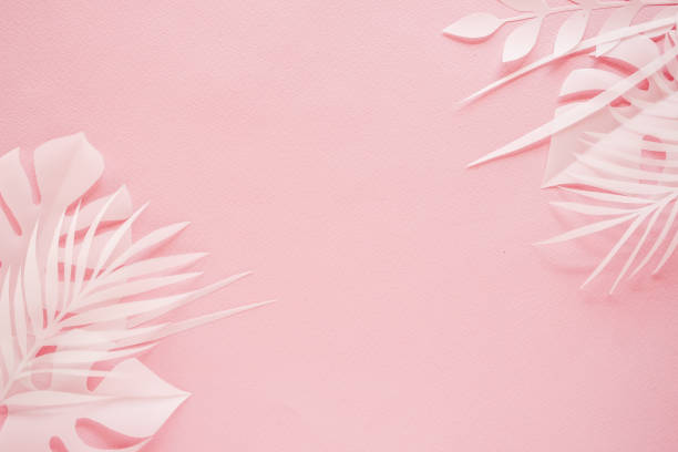 istock Tropical palm leaf on pink background. Flat lay, top view 1176212433