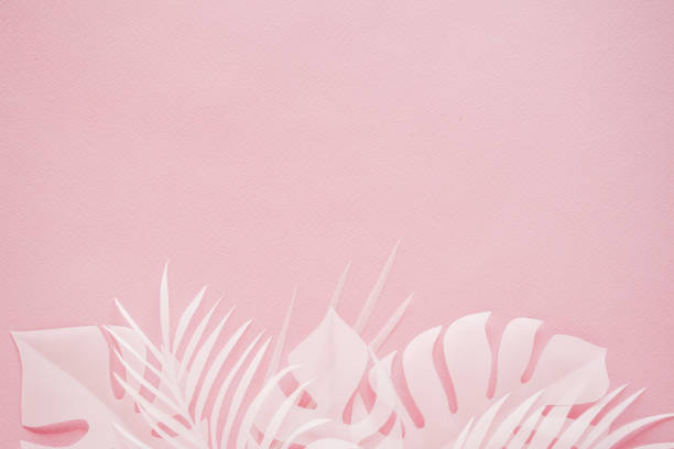 istock Tropical palm leaf on pink background. Flat lay, top view 1176212486