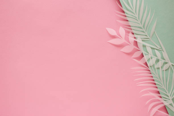 istock Tropical palm leaf on pink background. Flat lay, top view 1176212508