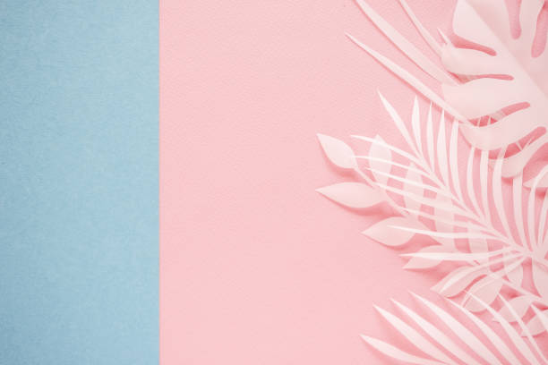 istock Tropical palm leaf on pink background. Flat lay, top view 1176212524