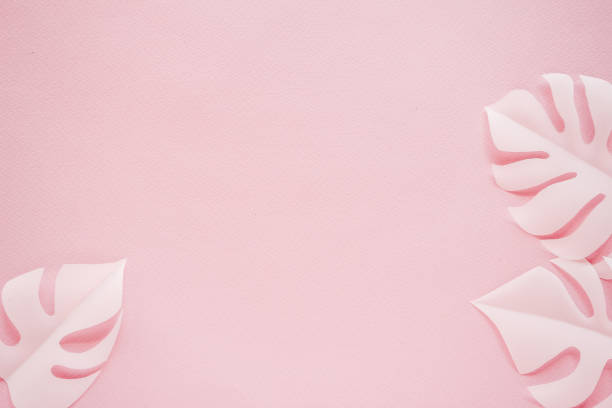 istock Tropical palm leaf on pink background. Flat lay, top view 1176212537