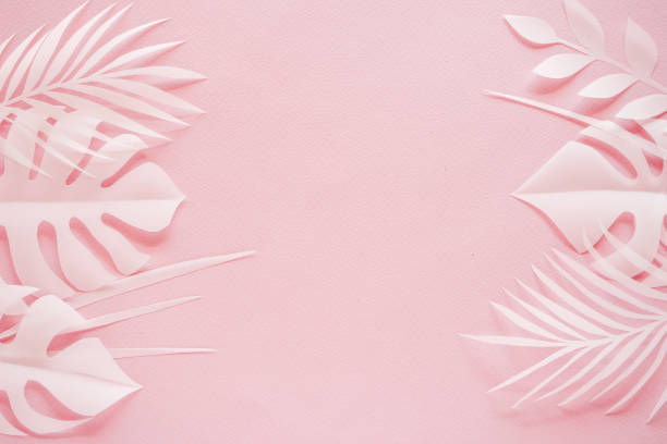 istock Tropical palm leaf on pink background. Flat lay, top view 1176212562