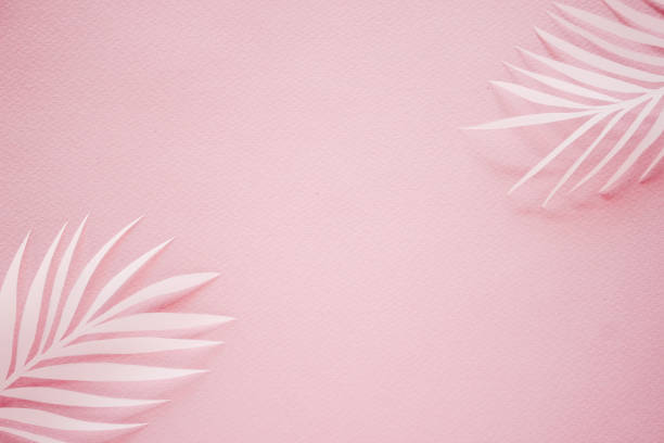 istock Tropical palm leaf on pink background. Flat lay, top view 1176212611