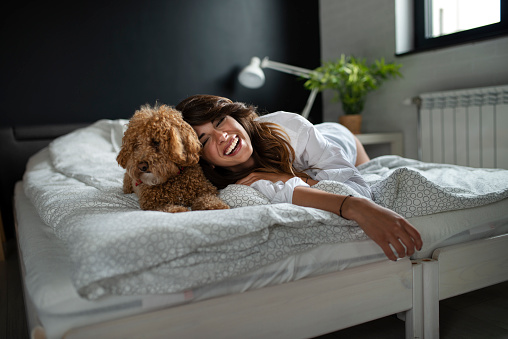 Young woman and her dog of apricot puddles meet in the morning in bed