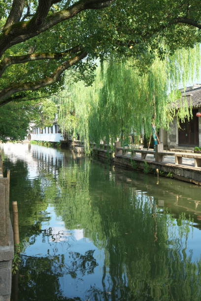 An alley and a canal in water township of Zhouzhuang, Suzhou, China Zhouzhuang,China-September 17, 2019: An alley and a canal in water township of Zhouzhuang, Suzhou, China suzhou creek stock pictures, royalty-free photos & images