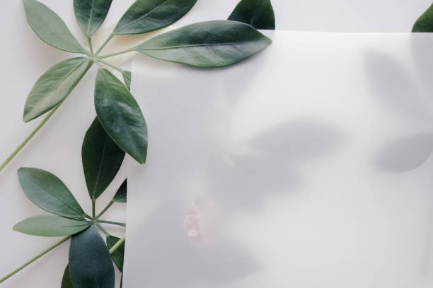 istock Tropical leaves with paper on white table. Flat lay, closeup view 1176217490