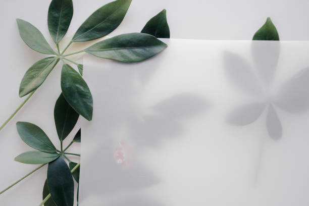 istock Tropical leaves with paper on white table. Flat lay, closeup view 1176217527