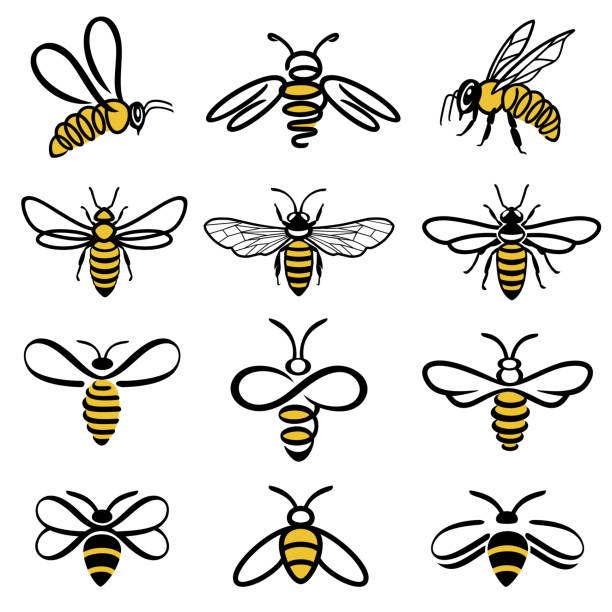 ilustraciones, imágenes clip art, dibujos animados e iconos de stock de iconos de abejas - abeja