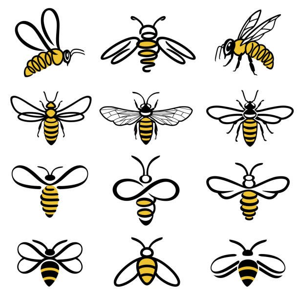 illustrazioni stock, clip art, cartoni animati e icone di tendenza di icone delle ape - ape domestica