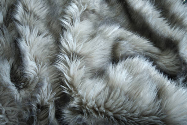 Gray Faux Fur Close Up Abstract