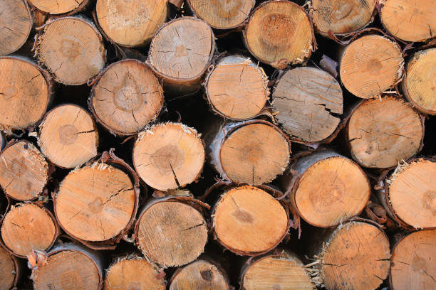 istock Cut and Stacked Wood 1176226958