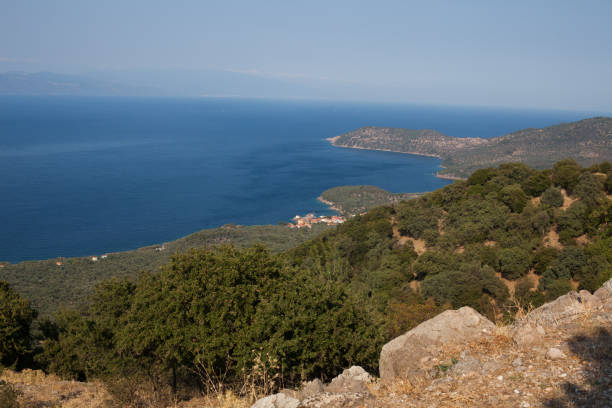 istock Coast of Lesvos 1176226986