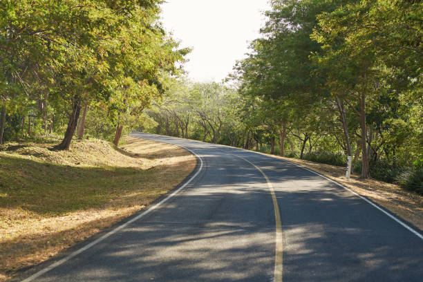 istock Left turn on country road 1176232473